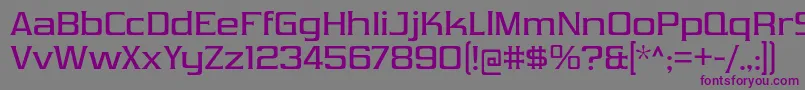VibrocentricRg Font – Purple Fonts on Gray Background