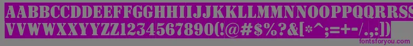 ASignboardtitulnrsl Font – Purple Fonts on Gray Background