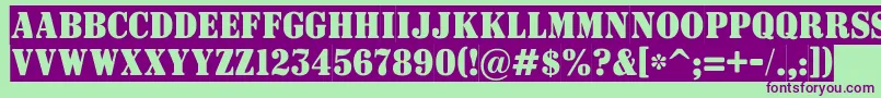ASignboardtitulnrsl Font – Purple Fonts on Green Background