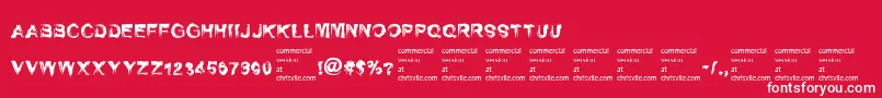 SelfrighteousnessRegular Font – White Fonts on Red Background