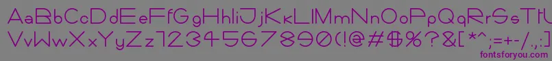 Шрифт Giorgino – фиолетовые шрифты на сером фоне