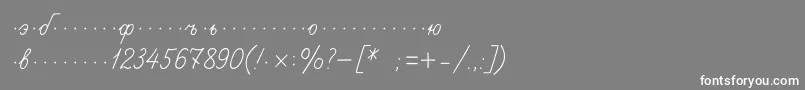 フォントPropisic – 灰色の背景に白い文字