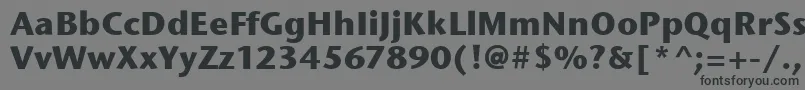 StoneSansItcBold Font – Black Fonts on Gray Background