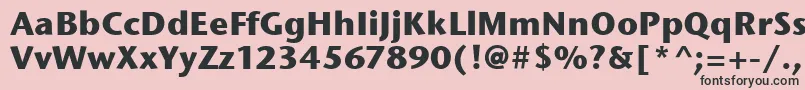 StoneSansItcBold Font – Black Fonts on Pink Background