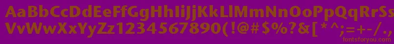 Шрифт StoneSansItcBold – коричневые шрифты на фиолетовом фоне