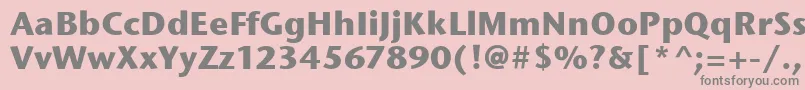 フォントStoneSansItcBold – ピンクの背景に灰色の文字