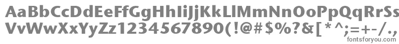 Шрифт StoneSansItcBold – серые шрифты на белом фоне