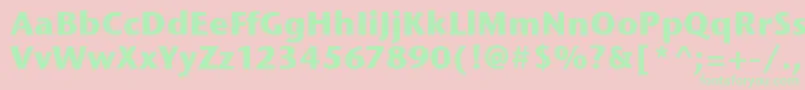StoneSansItcBold Font – Green Fonts on Pink Background