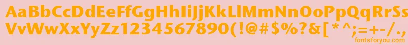 StoneSansItcBold Font – Orange Fonts on Pink Background