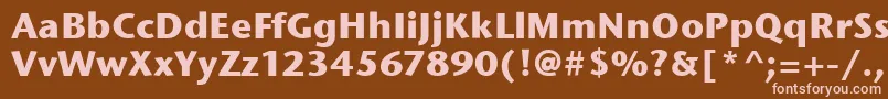 StoneSansItcBold Font – Pink Fonts on Brown Background