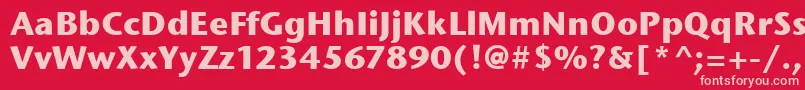 StoneSansItcBold Font – Pink Fonts on Red Background