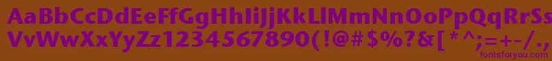 StoneSansItcBold Font – Purple Fonts on Brown Background