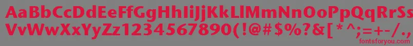 StoneSansItcBold Font – Red Fonts on Gray Background
