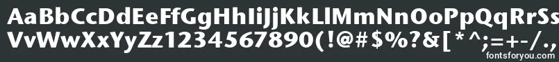 StoneSansItcBold Font – White Fonts on Black Background