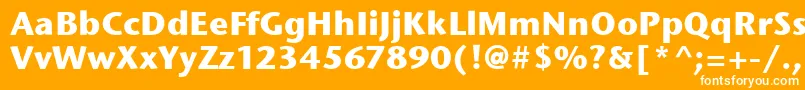 Шрифт StoneSansItcBold – белые шрифты на оранжевом фоне