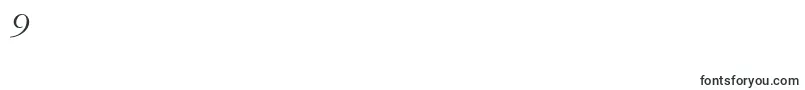 フォントItcgaramondstdLtita – フォント数字9