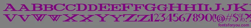 FatWide Font – Purple Fonts on Gray Background