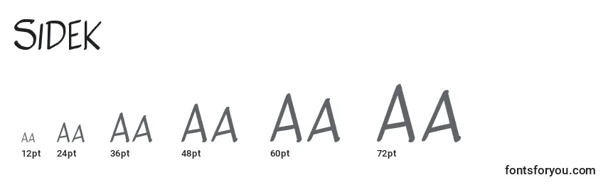 SideK Font Sizes