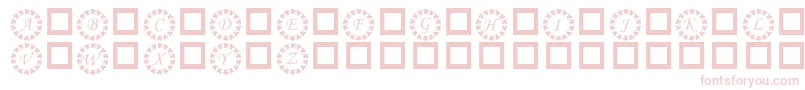 Kr Ring O Shams Font – Pink Fonts on White Background