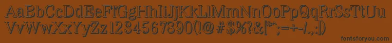 WichitashadowLightRegular Font – Black Fonts on Brown Background