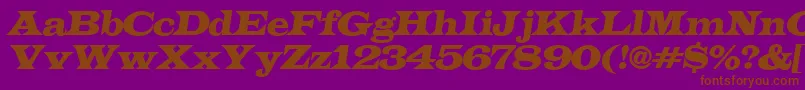 LatinoexpItalic Font – Brown Fonts on Purple Background