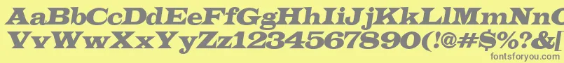 フォントLatinoexpItalic – 黄色の背景に灰色の文字