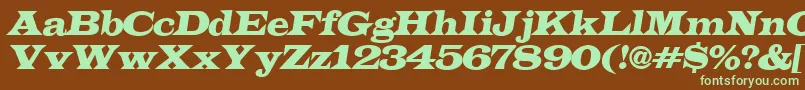 LatinoexpItalic Font – Green Fonts on Brown Background