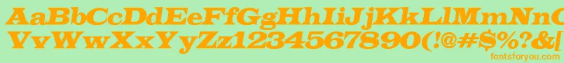 LatinoexpItalic Font – Orange Fonts on Green Background