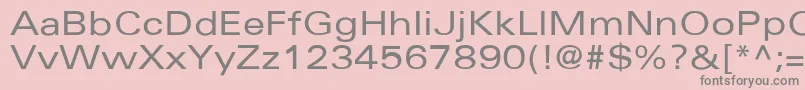 UniversExtended Font – Gray Fonts on Pink Background