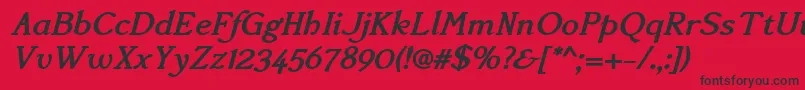 AccanthisadfstdBolditalic Font – Black Fonts on Red Background