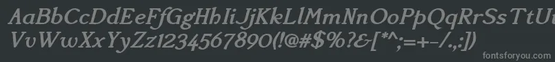 AccanthisadfstdBolditalic Font – Gray Fonts on Black Background