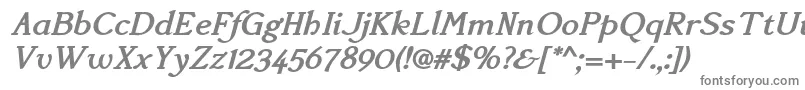 AccanthisadfstdBolditalic Font – Gray Fonts on White Background