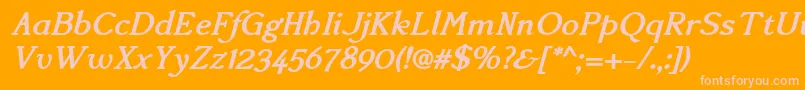 AccanthisadfstdBolditalic Font – Pink Fonts on Orange Background