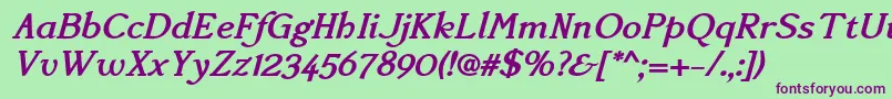 AccanthisadfstdBolditalic Font – Purple Fonts on Green Background