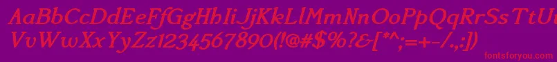 AccanthisadfstdBolditalic Font – Red Fonts on Purple Background