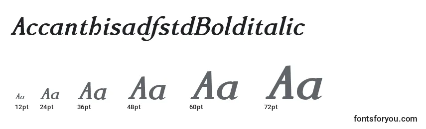 AccanthisadfstdBolditalic Font Sizes