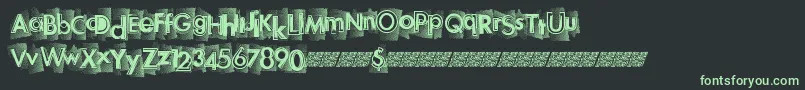 Newhighs Font – Green Fonts on Black Background