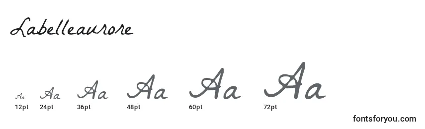 Labelleaurore Font Sizes