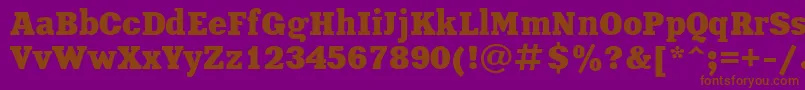 XeniaBold-fontti – ruskeat fontit violetilla taustalla