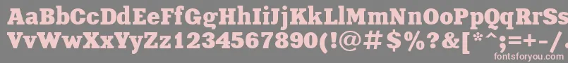 XeniaBold-fontti – vaaleanpunaiset fontit harmaalla taustalla