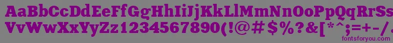 XeniaBold-fontti – violetit fontit harmaalla taustalla
