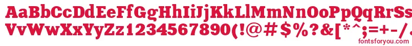 XeniaBold Font – Red Fonts on White Background