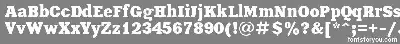 XeniaBold-fontti – valkoiset fontit harmaalla taustalla