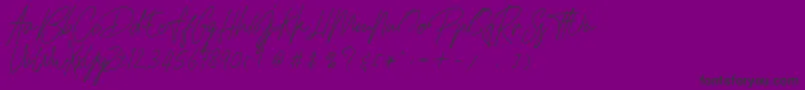 HamilltonDemo-Schriftart – Schwarze Schriften auf violettem Hintergrund