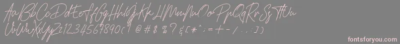 HamilltonDemo Font – Pink Fonts on Gray Background