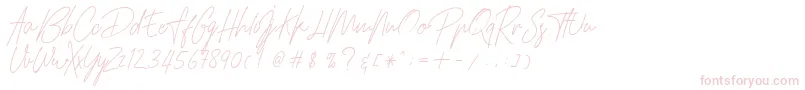 HamilltonDemo Font – Pink Fonts