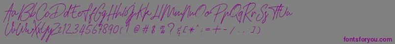 HamilltonDemo Font – Purple Fonts on Gray Background