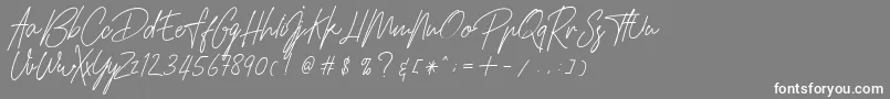 Weitere Informationen zur HamilltonDemo-Schriftart HamilltonDemo-Schriftart – Weiße Schriften auf grauem Hintergrund