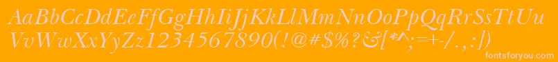 BasilItalic Font – Pink Fonts on Orange Background