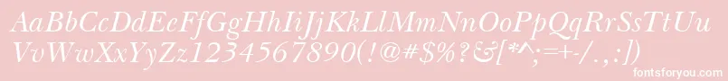 BasilItalic Font – White Fonts on Pink Background
